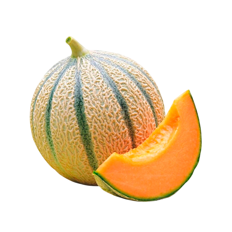 Cantaloup