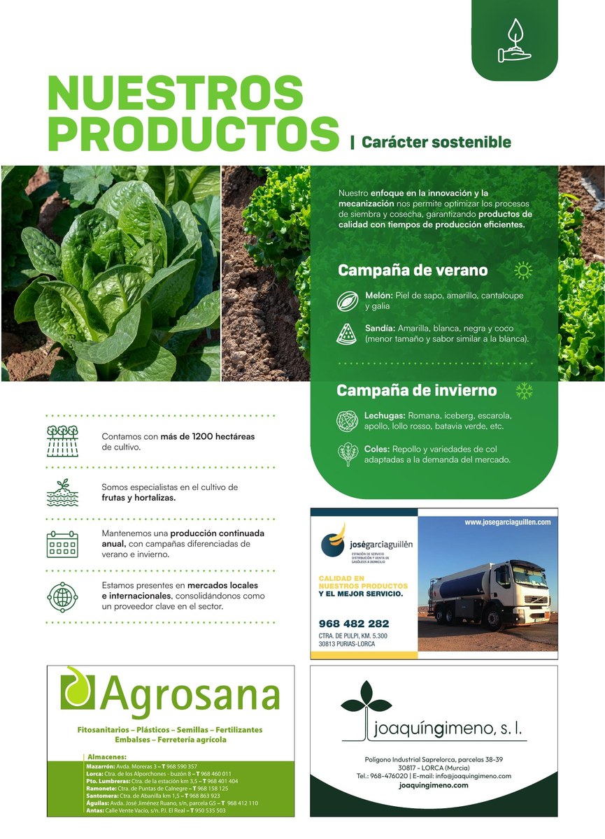 Nuestros Productos